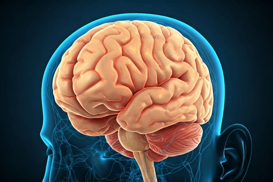 Teenager's Alzheimer's Diagnosis: Why Proactive Brain Health Matters Now